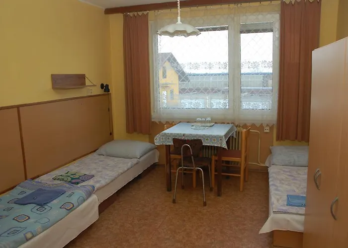 Guest house Sedlec 2*