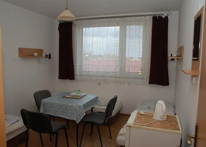 Guest house Sedlec 2*